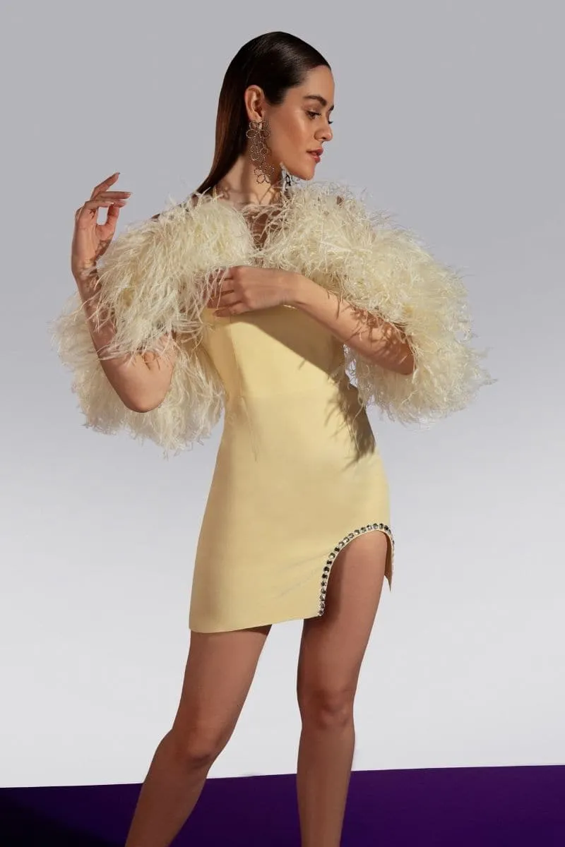 BELLA SILK FEATHER-TRIMMED MINI DRESS