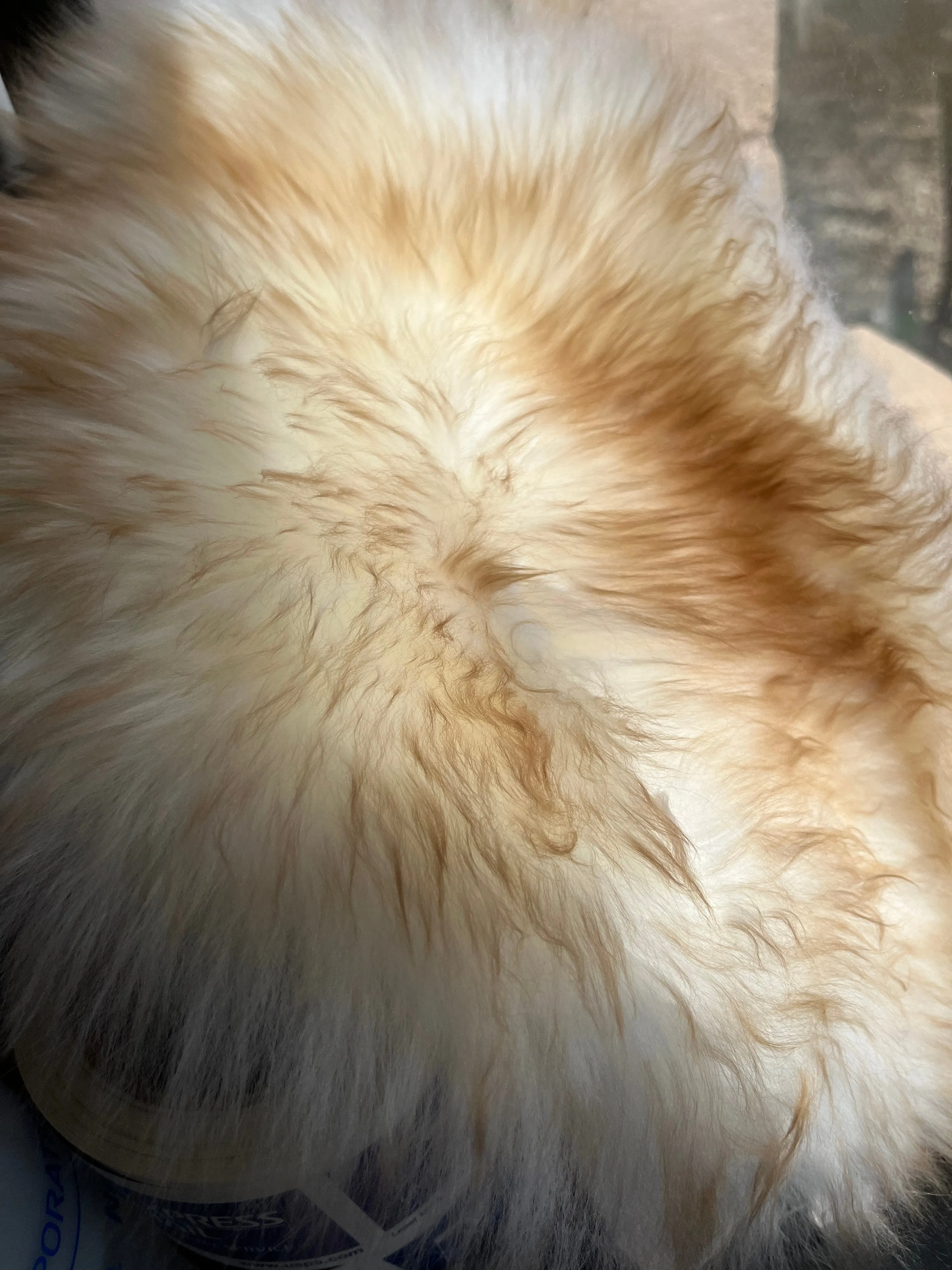 HD Police Solo/Large Tractor Style Sheepskin Buttpad™